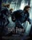 Harry Potter 7 2010  – Harry Potter and the Deathly Hallows: Part 1 1080p Turkce Dublaj izle